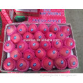 /msite/products/detail/productid/54855501/id/542998.html